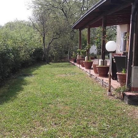 Bed & Breakfast Suite Rende Esterno foto