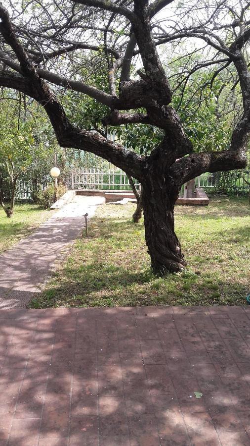 Bed & Breakfast Suite Rende Esterno foto