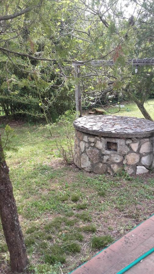 Bed & Breakfast Suite Rende Esterno foto